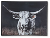 Harlandale Wall Art