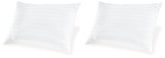 Zephyr 2.0 Cotton Pillow (Set of 2)