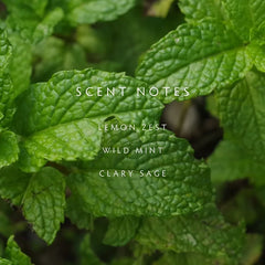 Linnea Diffuser Kit, Crushed Mint